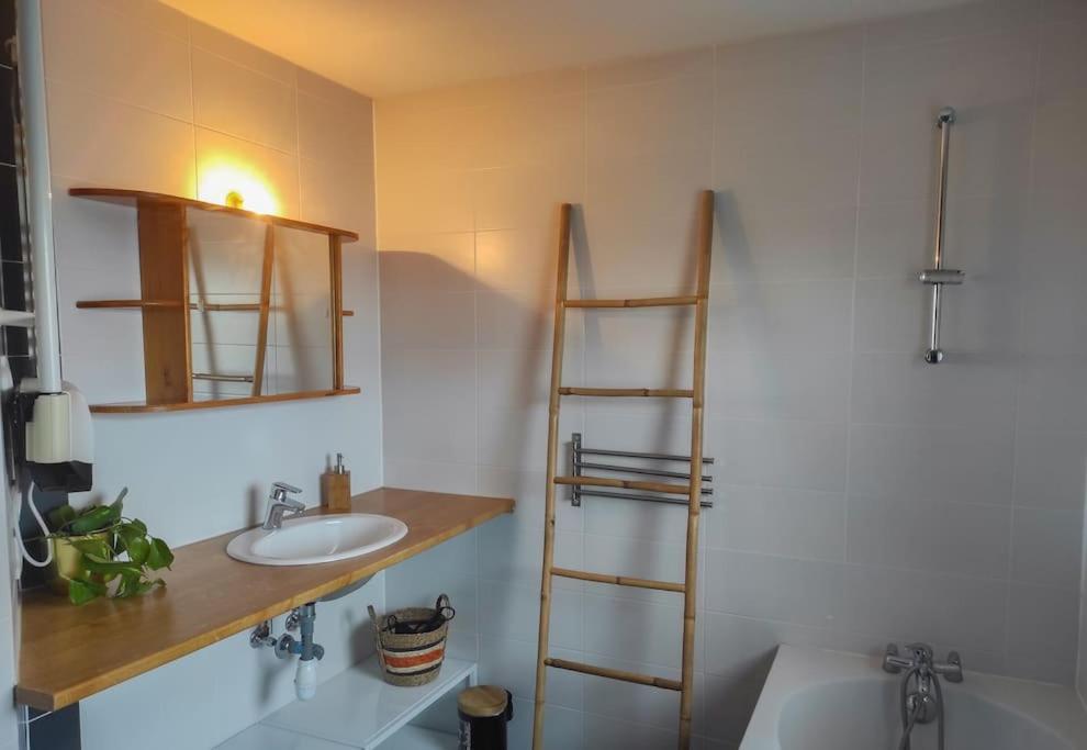 Bel Appartement En Centre Alsace 킨츠하임 외부 사진