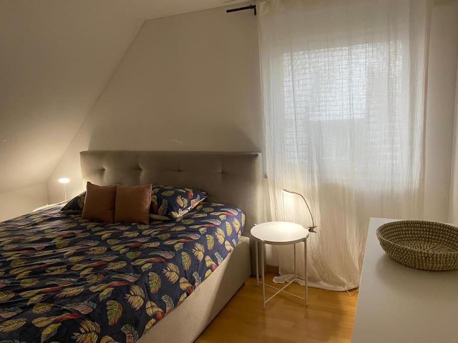 Bel Appartement En Centre Alsace 킨츠하임 외부 사진